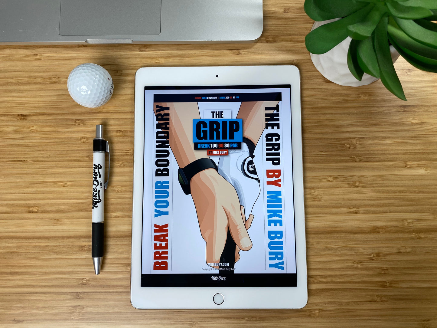 The Grip - Everything you need to know!